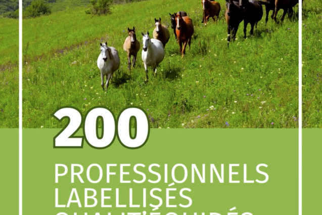 🎉 200 LABELLISÉS QUALIT'ÉQUIDÉS 🎉