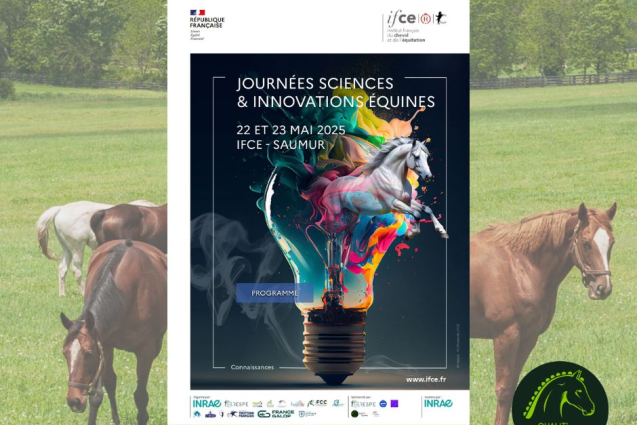 Qualit’Equidés, la démarche qualité pour l’ensemble de la filière équine, sponsorise les Journées Sciences & Innovations Équines (JSIE) organisées par l’IFCE !