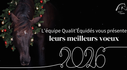 ✨ Bonne et Heureuse Année 2026 ! ✨