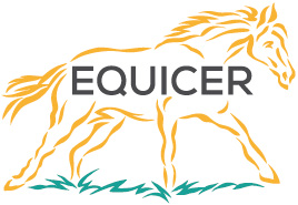L'observatoire économique 2019 d'EquiCER est en ligne