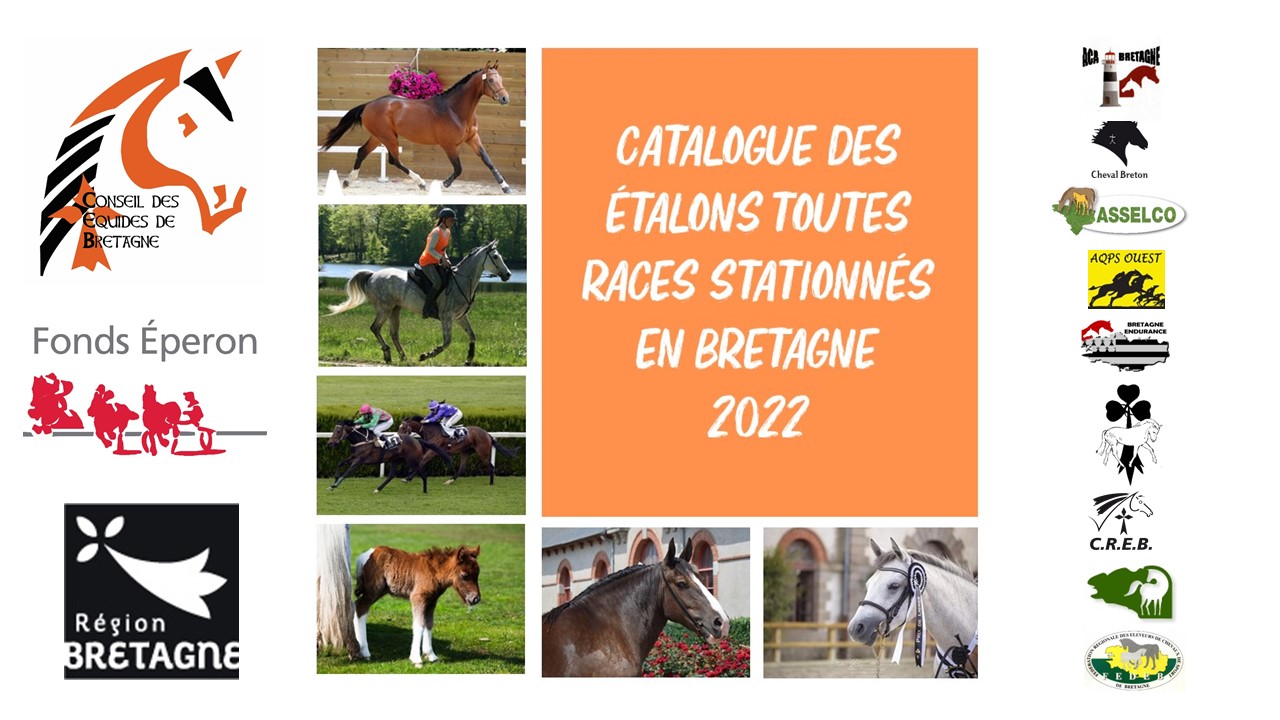 Le catalogue en ligne 2022 des étalons toutes races stationnés en Bretagne