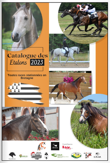 L'édition 2023 du catalogue des étalons de toutes races, stationnés en Bretagne EST EN LIGNE