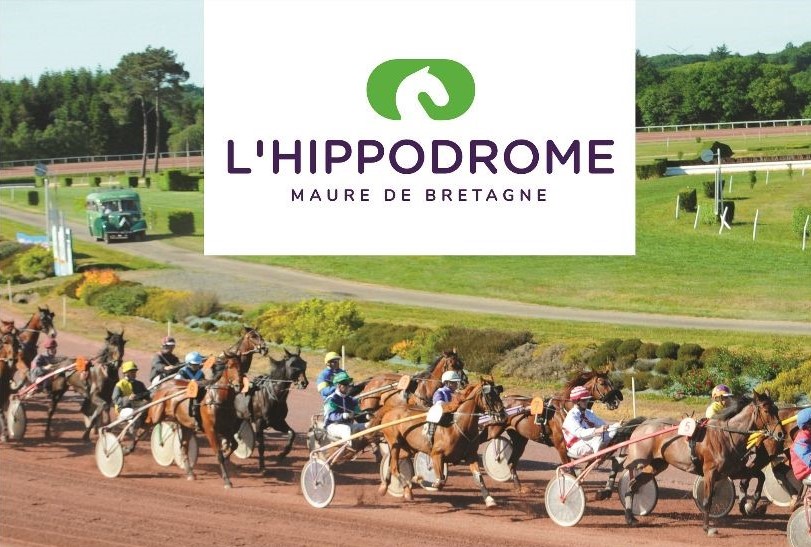 Courses de Trot et Obstacles sur l'hippodrome de Maure de Bretagne | Conseil des équidés de Bretagne