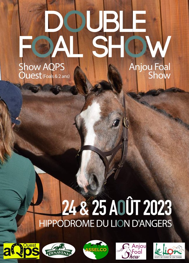 Double Foal Show à l'hippodrome du Lion d'Angers