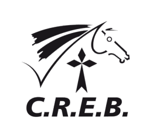 CREB - CSO - Pro Amateur Prépa - Equipôle de Landivisiau - 29 - Ecurie Gélébart