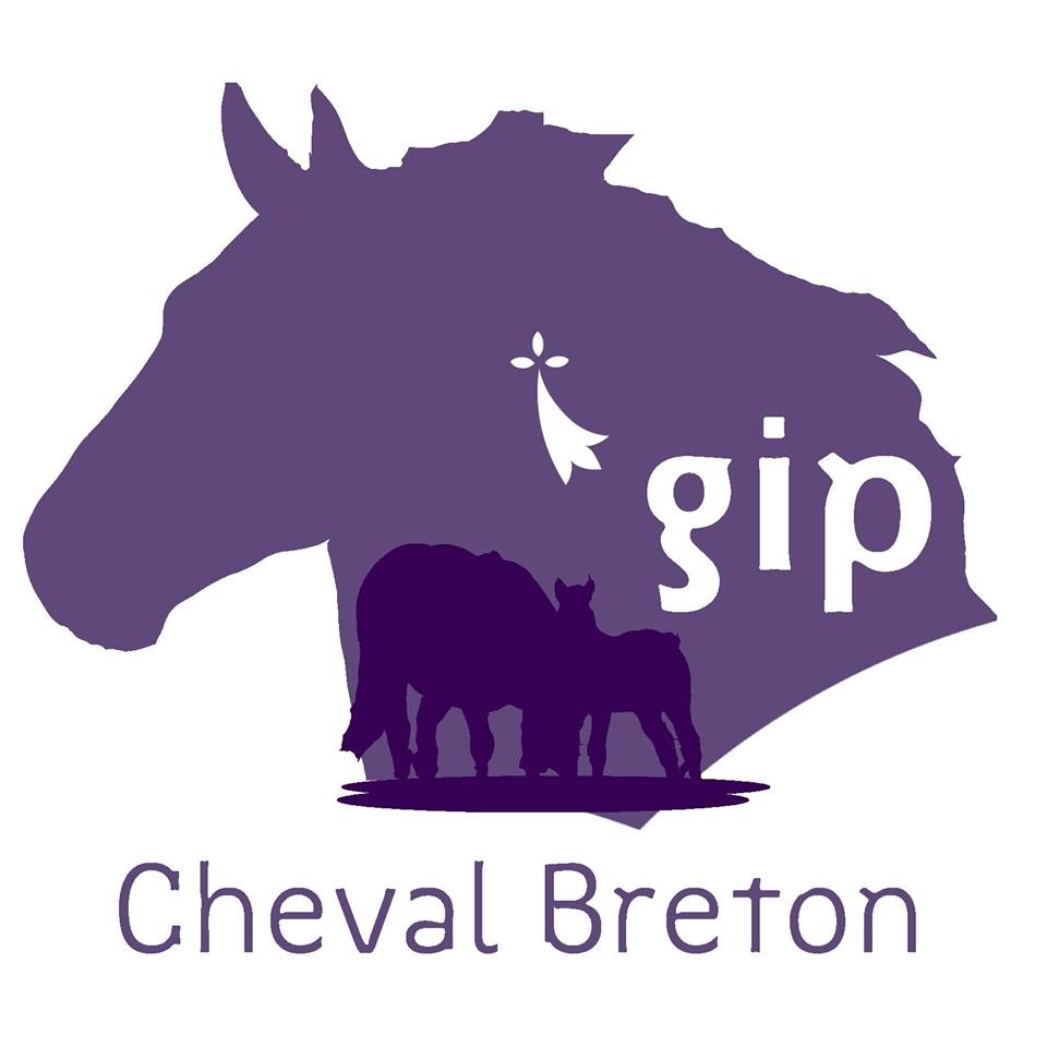 Création du Groupement d'Interêt Public du Cheval Breton