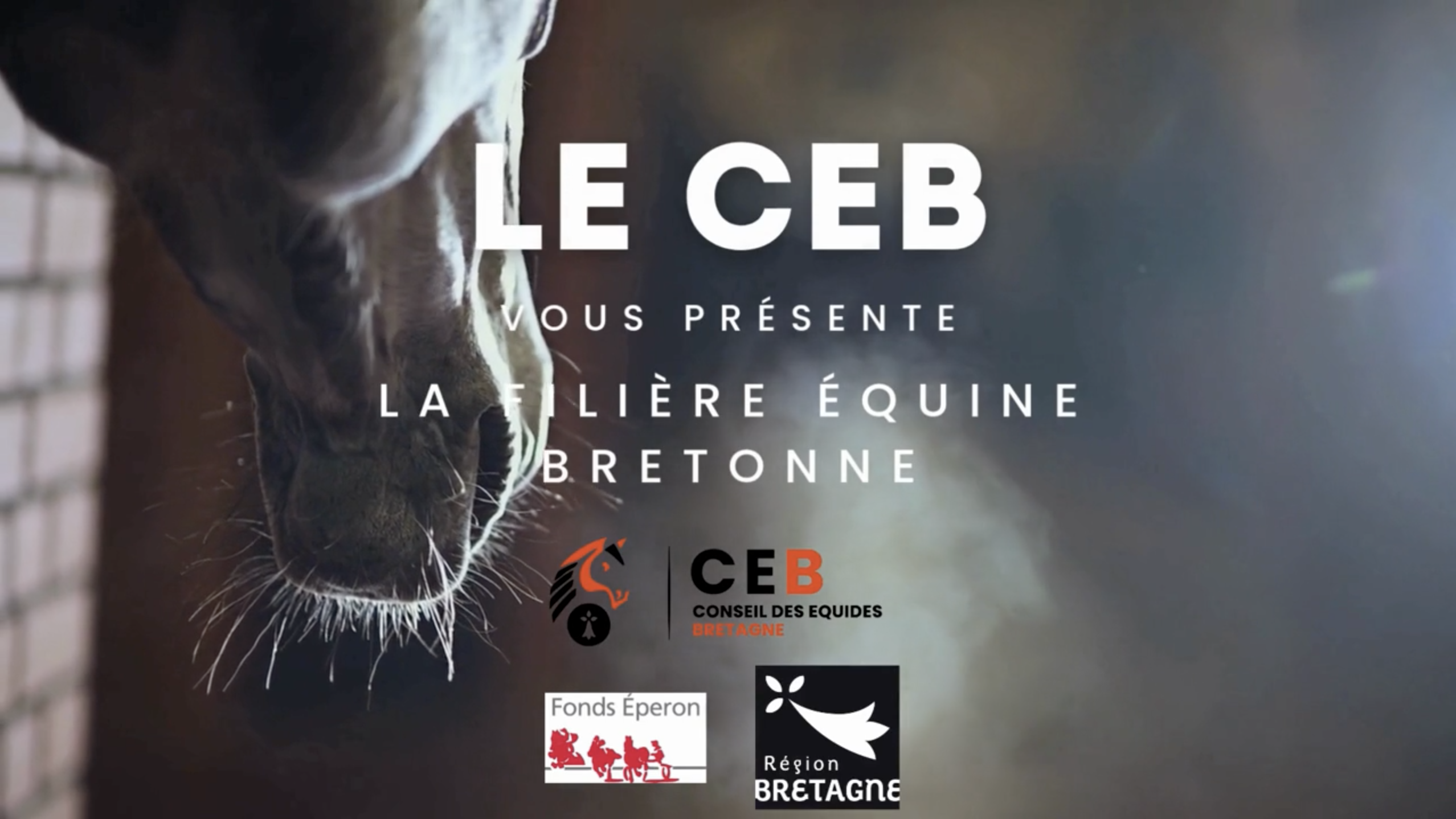 Aperçu de la vidéo filière équine Bretagne